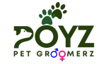 cropped-POYZ-Logo.png